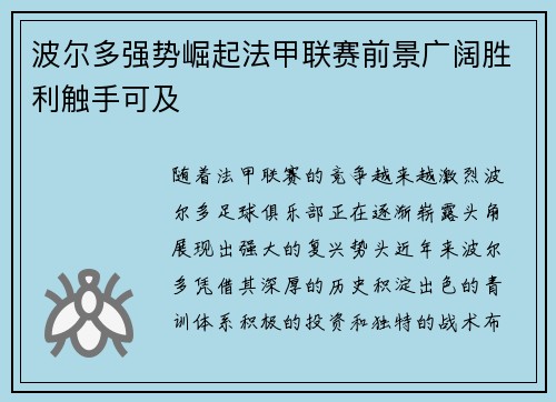 波尔多强势崛起法甲联赛前景广阔胜利触手可及